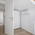 House Bernarda * Μεντουλίν